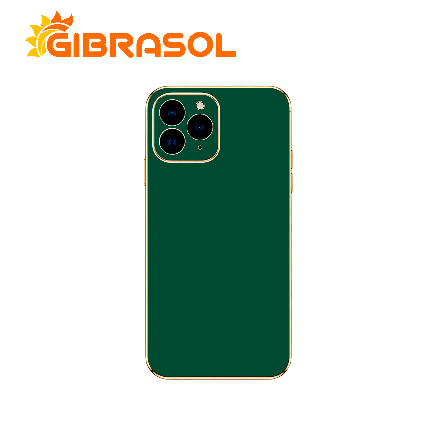 01 DOR006 Estuche con Orilla Dorada - iPhone 13 Pro - Imagen 1